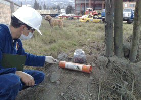 Control de Roedores en Exteriores