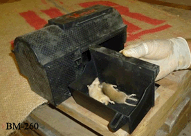 Trampa para Ratones BM-260